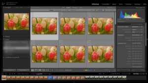 Die Gitteransicht in Lightroom für eine gute Übersicht